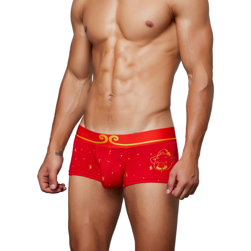 Birth Year Caroline Brown Men's Boxer Briefs